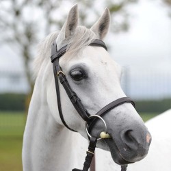 English Pony Bridles