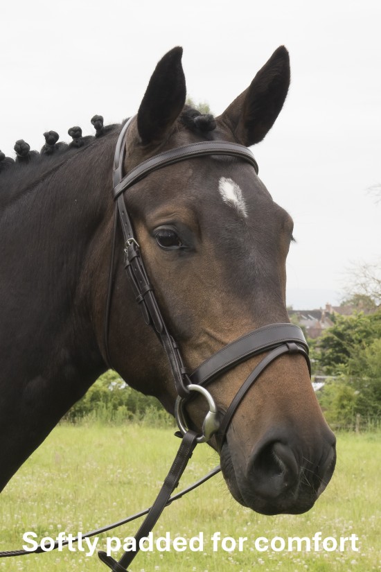 Comfort Flat Padded Flash Bridle