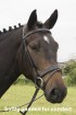 Comfort Flat Padded Flash Bridle