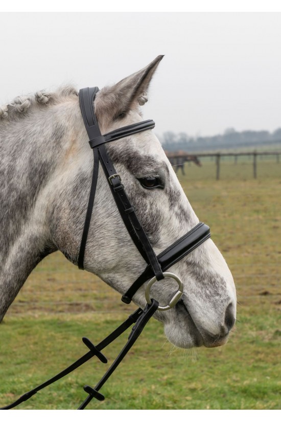 Build A Havana Comfort Bridle