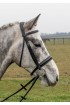 Build A Havana Comfort Bridle