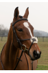 EB Comfort  Sheepswool Mexican Grackle Bridle