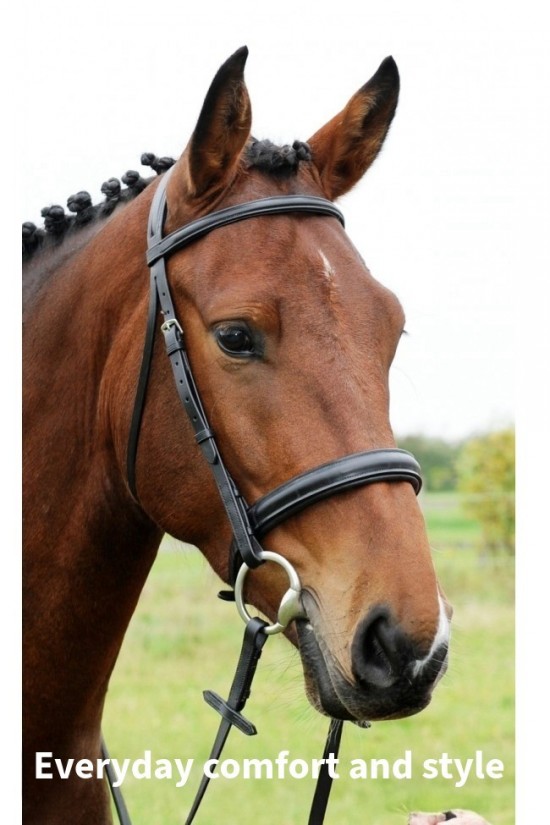 Cavesson Comfort Bridle