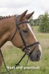Comfort Elite Flash Bridle