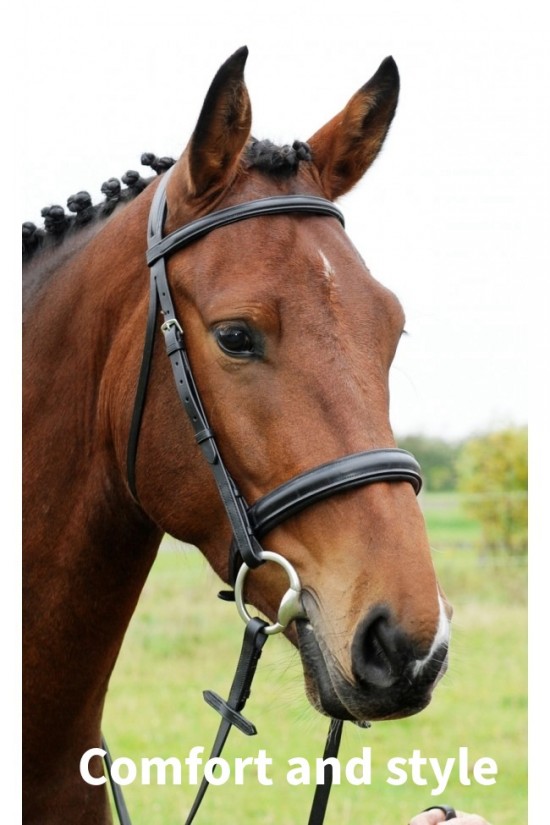Cavesson Comfort Bridle