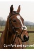 Comfort Sheepswool Mexican Grackle Bridle
