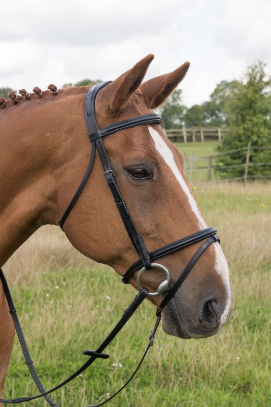 EB English Comfort 3/4" Fixed Flash Bridle