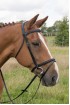 EB English Comfort 3/4" Fixed Flash Bridle