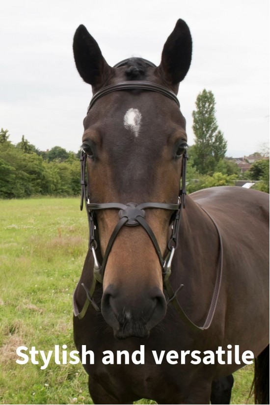 Mexican Comfort Padded Bridle