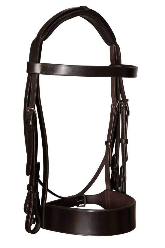 EB Premier Comfort Double Show Bridle