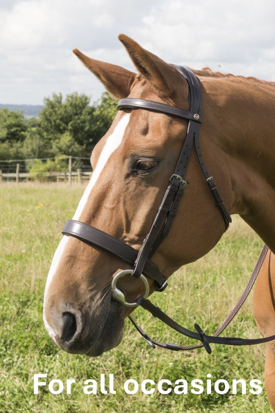 Comfort Flat Padded Bridle