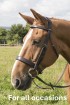 Comfort Flat Padded Bridle