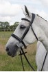 EB English Comfort Cavesson Double Bridle