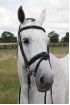 Build A Havana Comfort Bridle