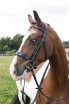 EB English Flat Padded Patent Bridle