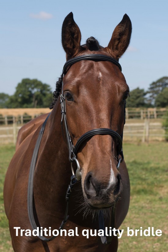 Elite Cavesson Bridle