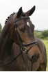 Build A Havana Comfort Bridle