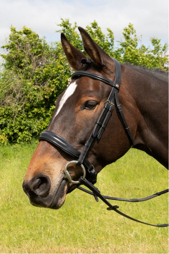 EB English Comfort Crank Bridle