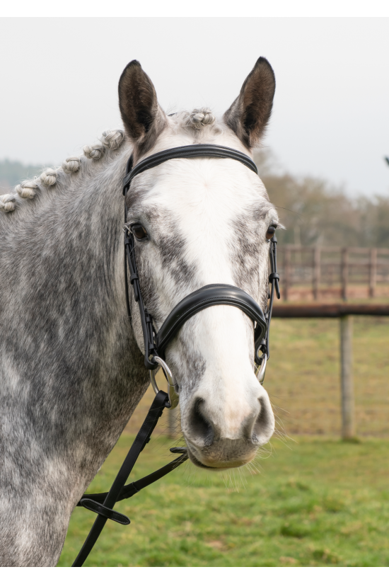 Build an English Crank Bridle