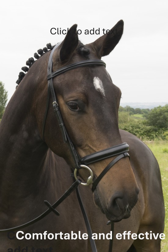 Premier Comfort Flash Bridle