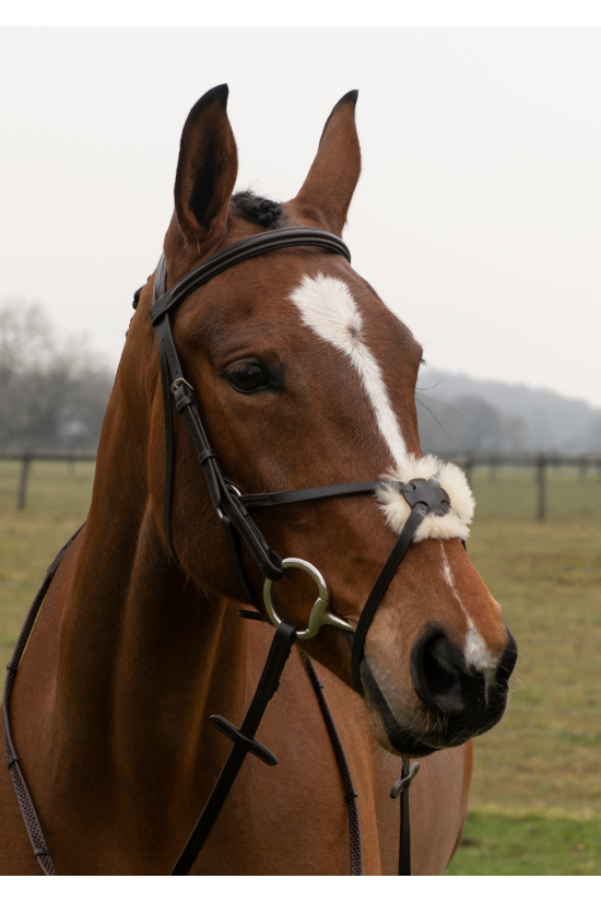 Build a Sheepswool Grackle Bridle