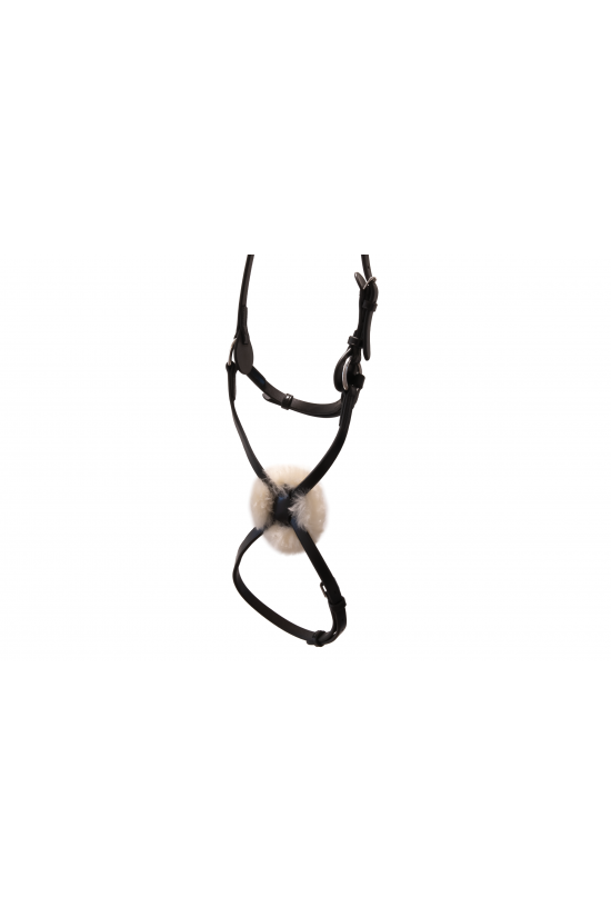 EB Mexican Grackle Noseband