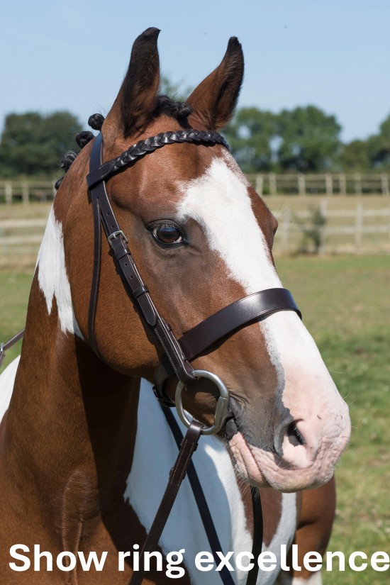 Premier Plaited Show Bridle