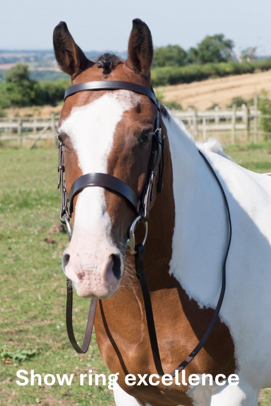 Pony Havana Show Bridle