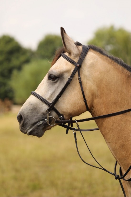 EB English Comfort 3/4"  Pony bridle