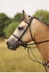 EB English Comfort 3/4"  Pony bridle