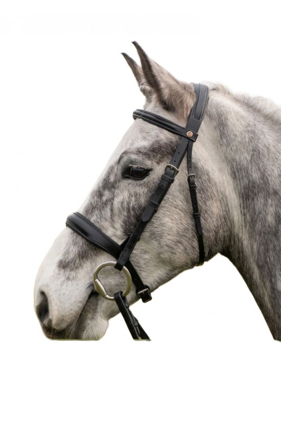 Build an Anatomical Comfort Bridle
