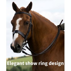 Build a Bridle 