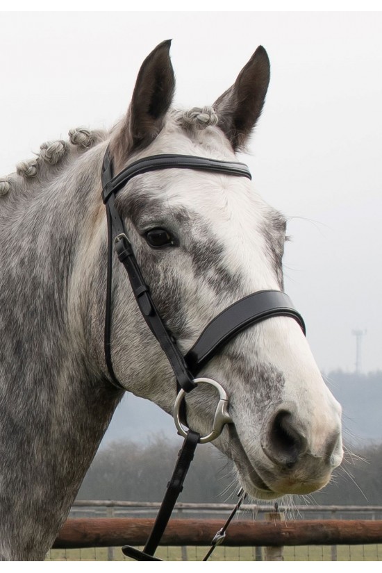 Premier Black Flat Padded Bridle