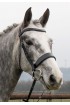 Premier Black Flat Padded Bridle