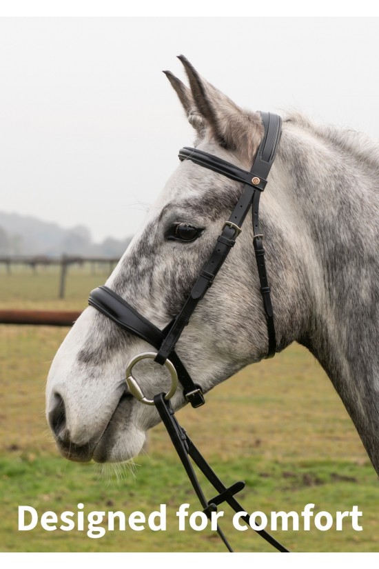 Premier Comfort Bridle