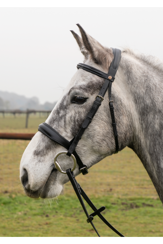 Build A Black Premier Comfort Bridle