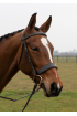 Premier Flat Padded Wide Bridle