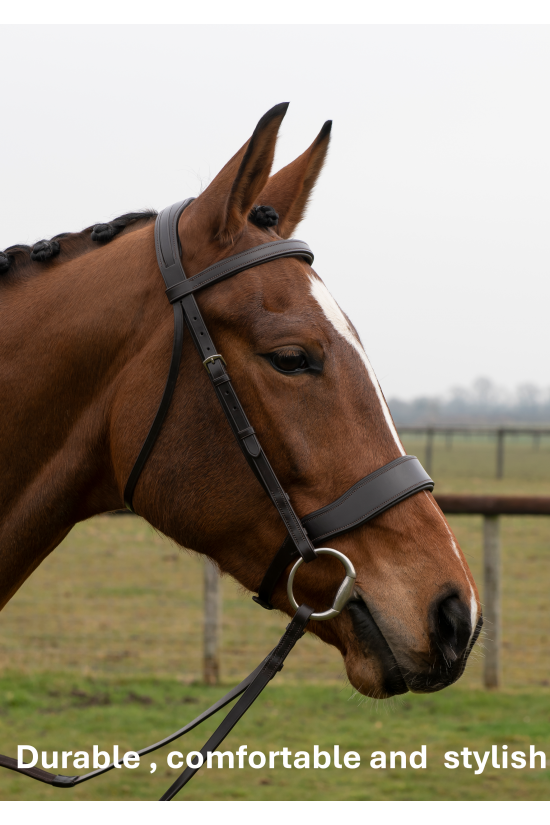 Premier Flat Padded Havana Bridle