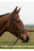 Premier Flat Padded Havana Bridle