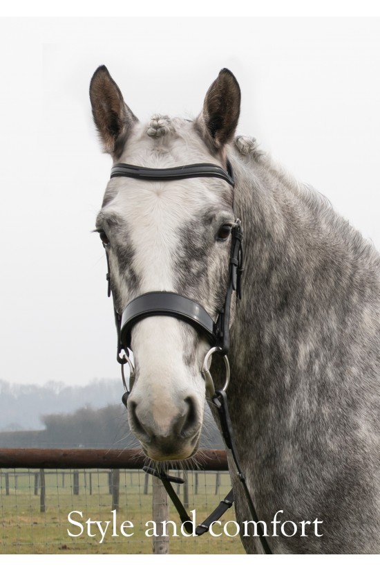 Premier Black Patent Bridle