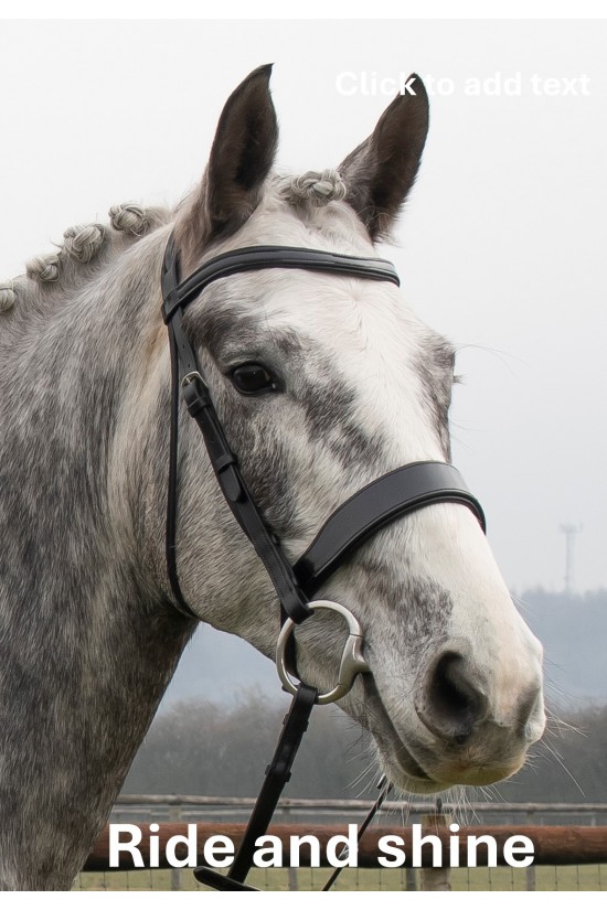 Premier Black Patent Bridle