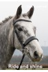 Premier Black Patent Bridle