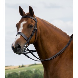 Build a Bridle
