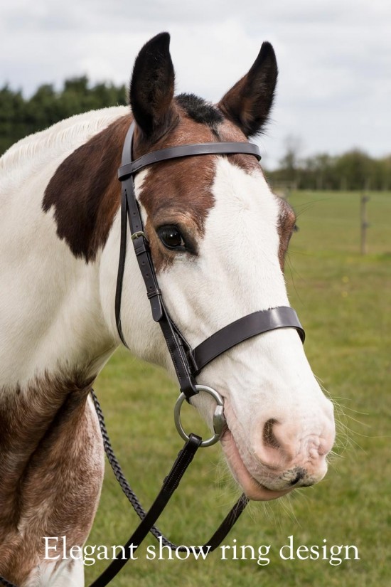 Premier Show Ring Bridle