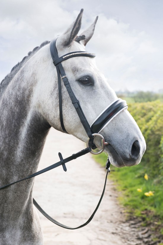 EB Premier Dressage Crank Bridle