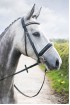 EB Premier Dressage Crank Bridle