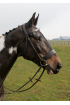 EB Premier Comfort Show Hunter Bridle