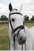 Anatomical Detachable Flash Bridle