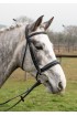 Build an Anatomical  Black Bridle