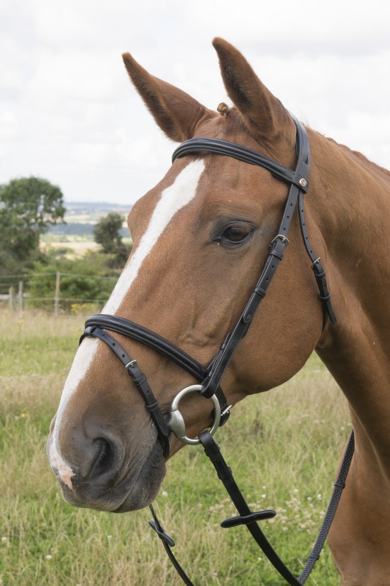  Anatomical  Narrow Flash bridle